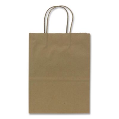 Paper Shopping Bag, Rope Handles, Small Size, 8.1 x 4.5 x 10.6, Kraft, 250/Carton