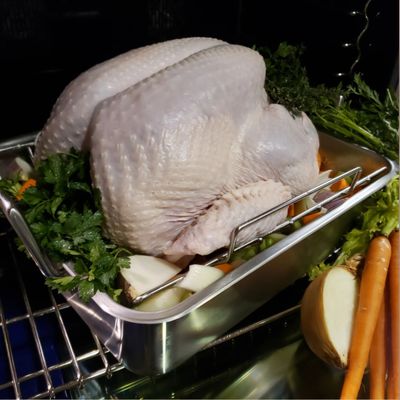 Fresh Turkey