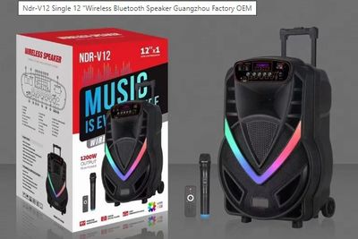 NDR-V12 BLUETOOTH SPEAKER
