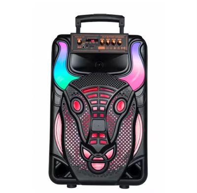 AO 1250 BLUETOOTH SPEAKER