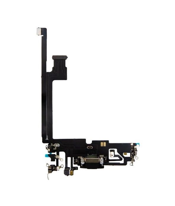 IPHONE 12 PRO MAX CHARGING FLEX