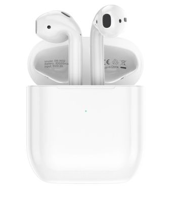 ESEEKGO EB-W02 True Wireless Stereo Earbuds