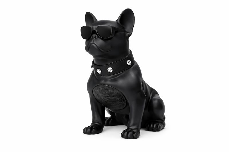 CH-M11 Big Dog Bluetooth Speaker-Black