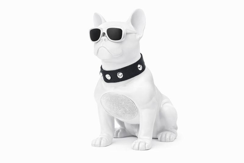 CH-M11 Big Dog Bluetooth Speaker-White