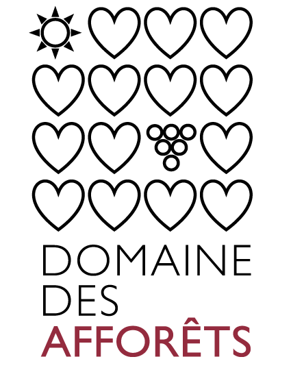 Carton 6 bouteilles - à composer