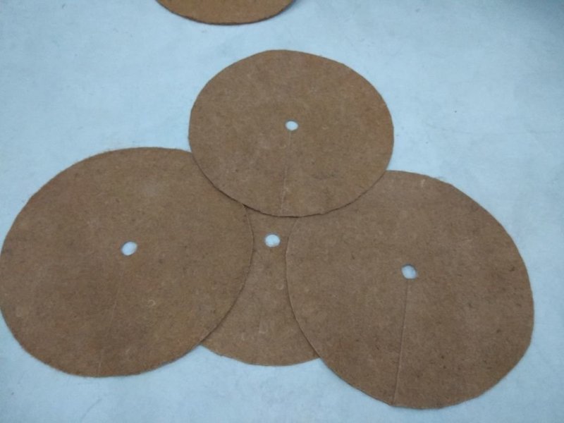 Tree Rings