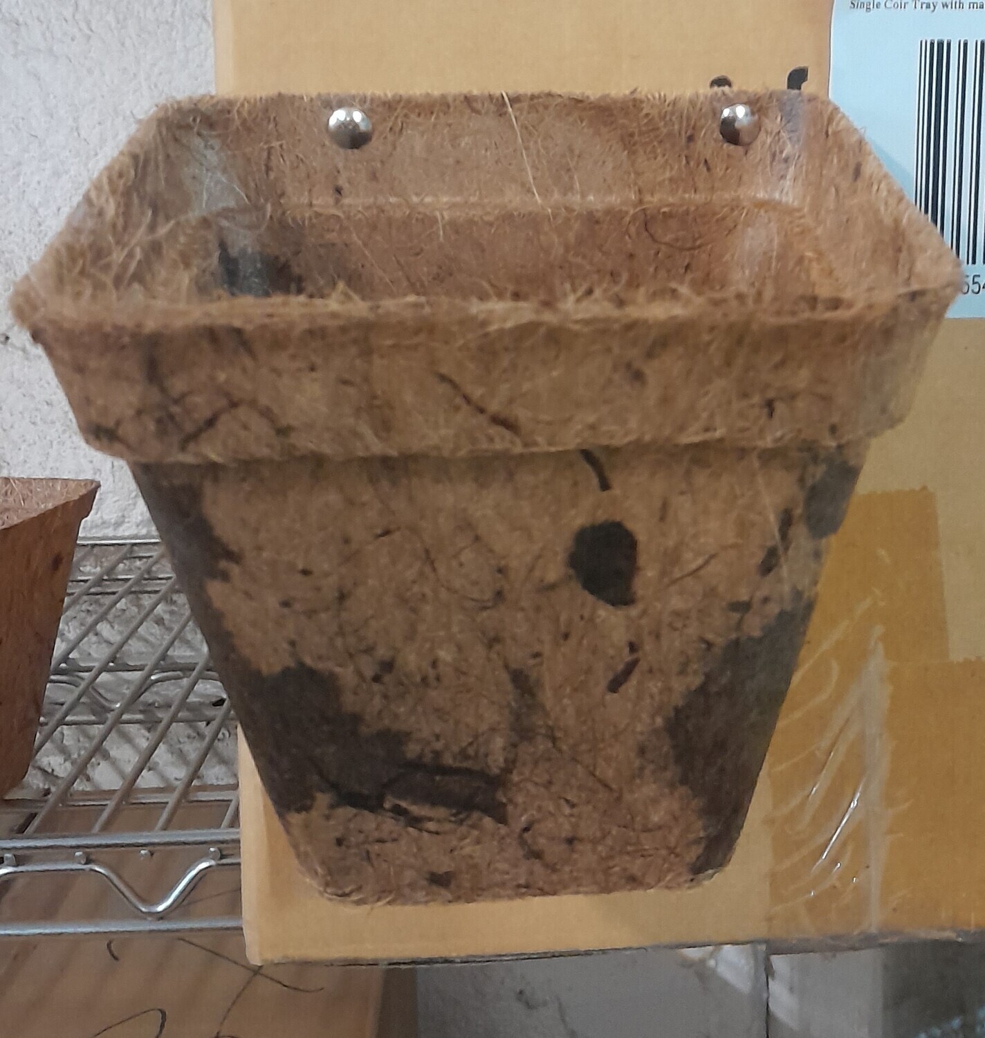 Pot - Square Coir 6”  "Top 15.5 cm and Tall 14 cm" Each Box of 400