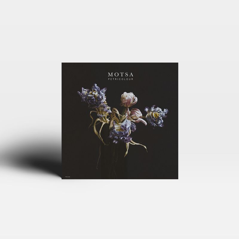 MOTSA - Petricolour EP 12"