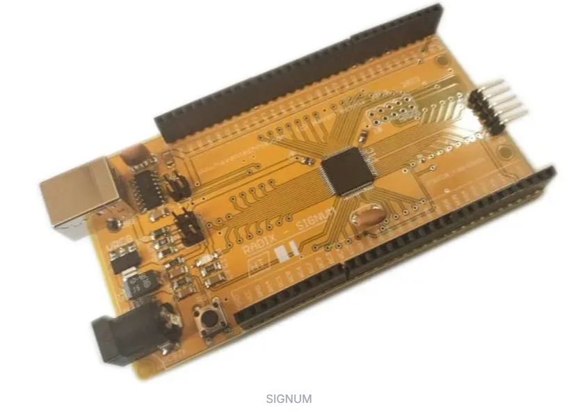 Radix Signum