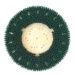 Mal-Grit Scrub™ Rotary Grit Brushes Green