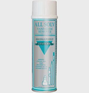 Bridgepoint Systems, Stain Remover, All Solv Vandalism Remover, 12 oz