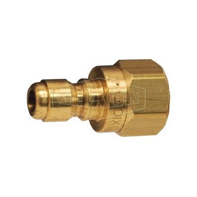 FST SERIES/ 1/4 FPT BRASS PLUG (E2F2-B)