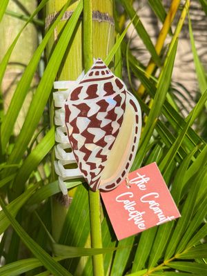 COCONUT COLLECTIVE HAIR CLIPS