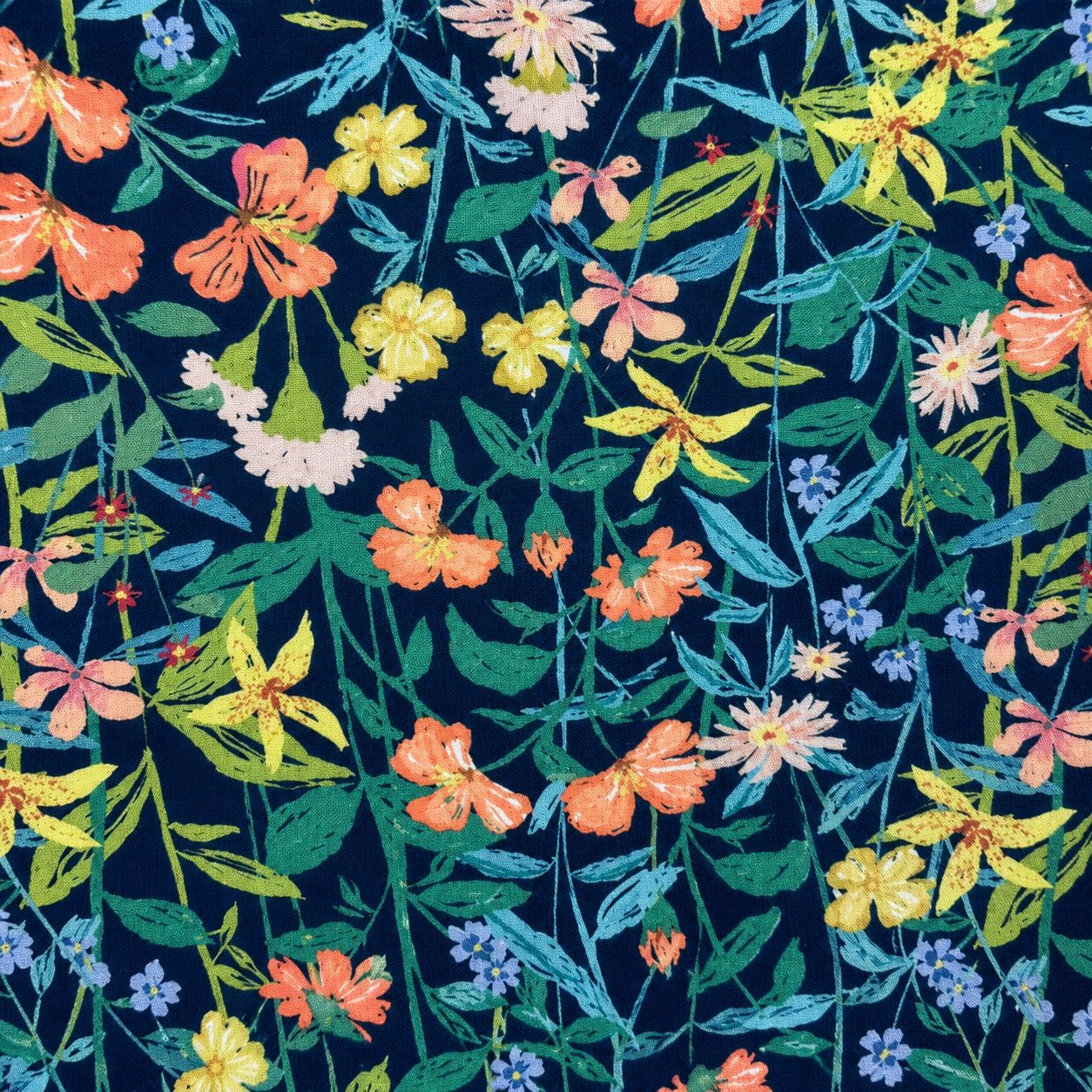 Coton - Aloha Hawaii