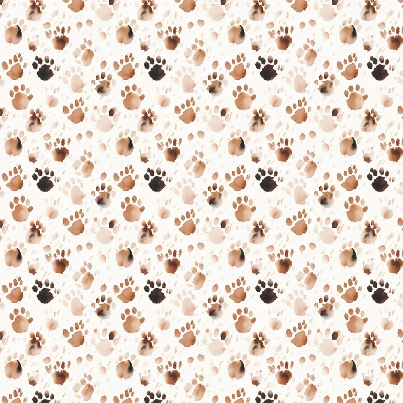 Coton - Chats&amp;Chiens - 4