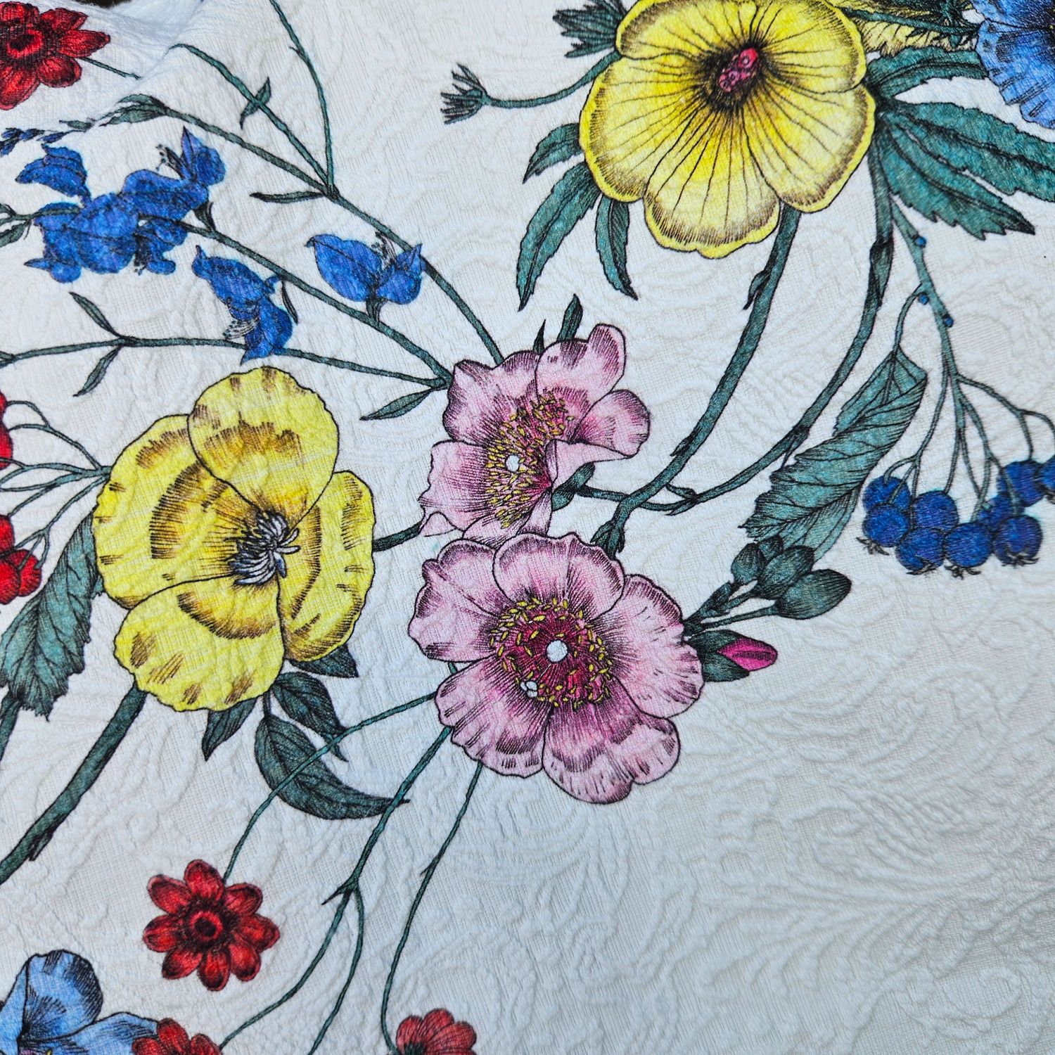 ALFA - wersja limitowana