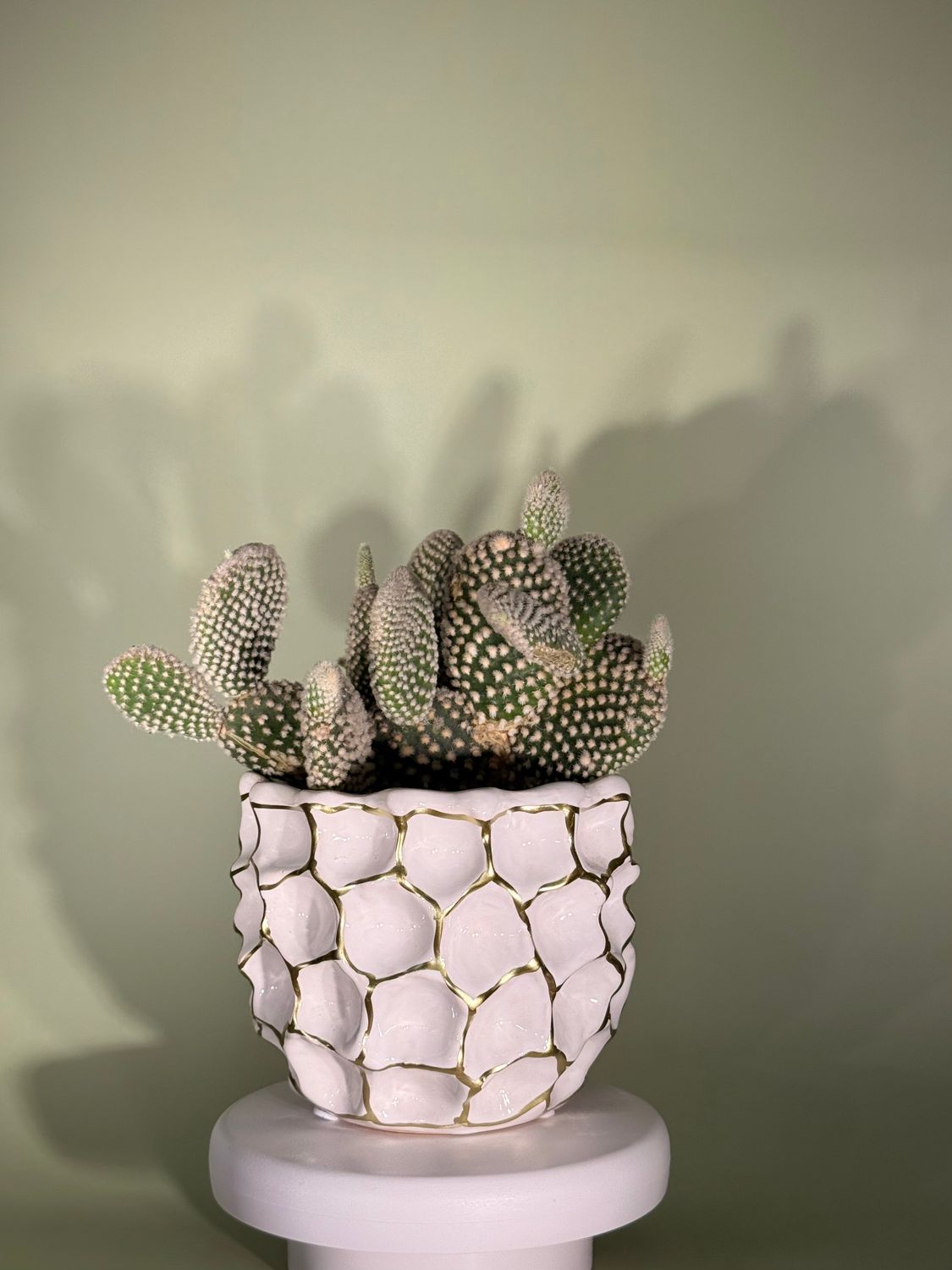 Osłonka ceramiczna biała ze złotymi elementami