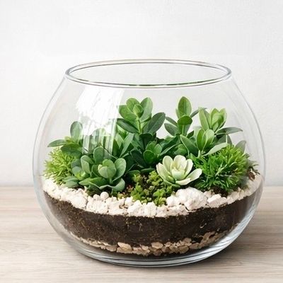 Kompozycje roślinne