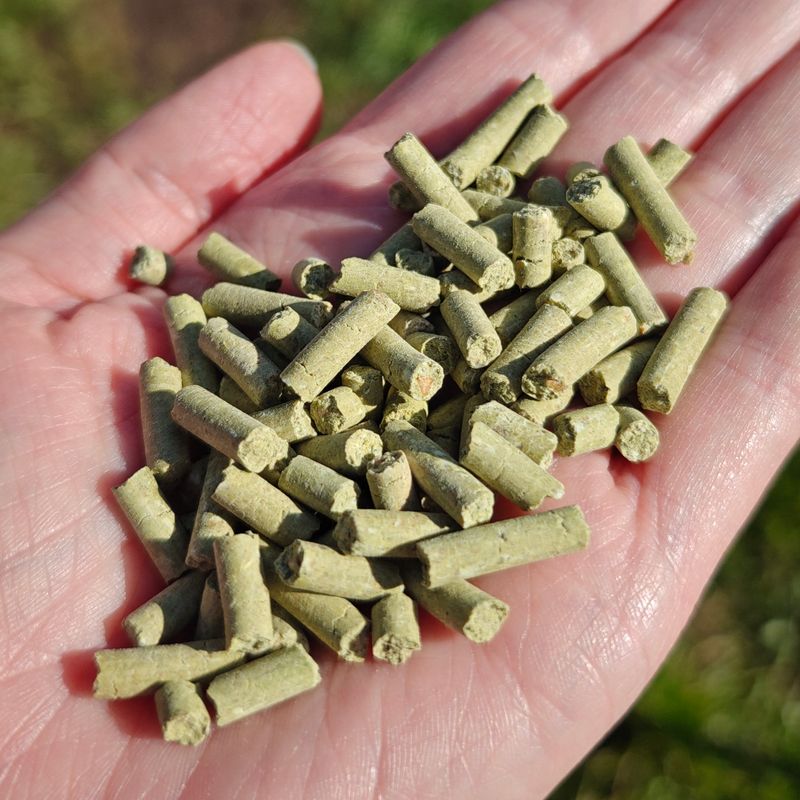 10kg Hoof Health Support for Sheep &amp; Goats