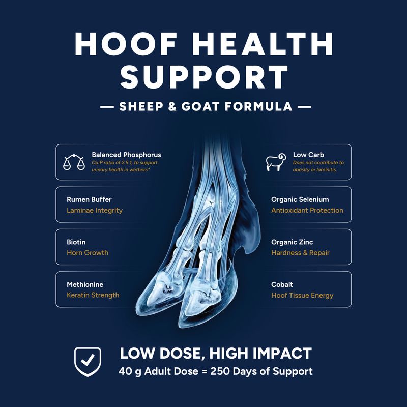10kg Hoof Health Support for Sheep &amp; Goats