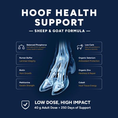 10kg Hoof Health Support for Sheep &amp; Goats