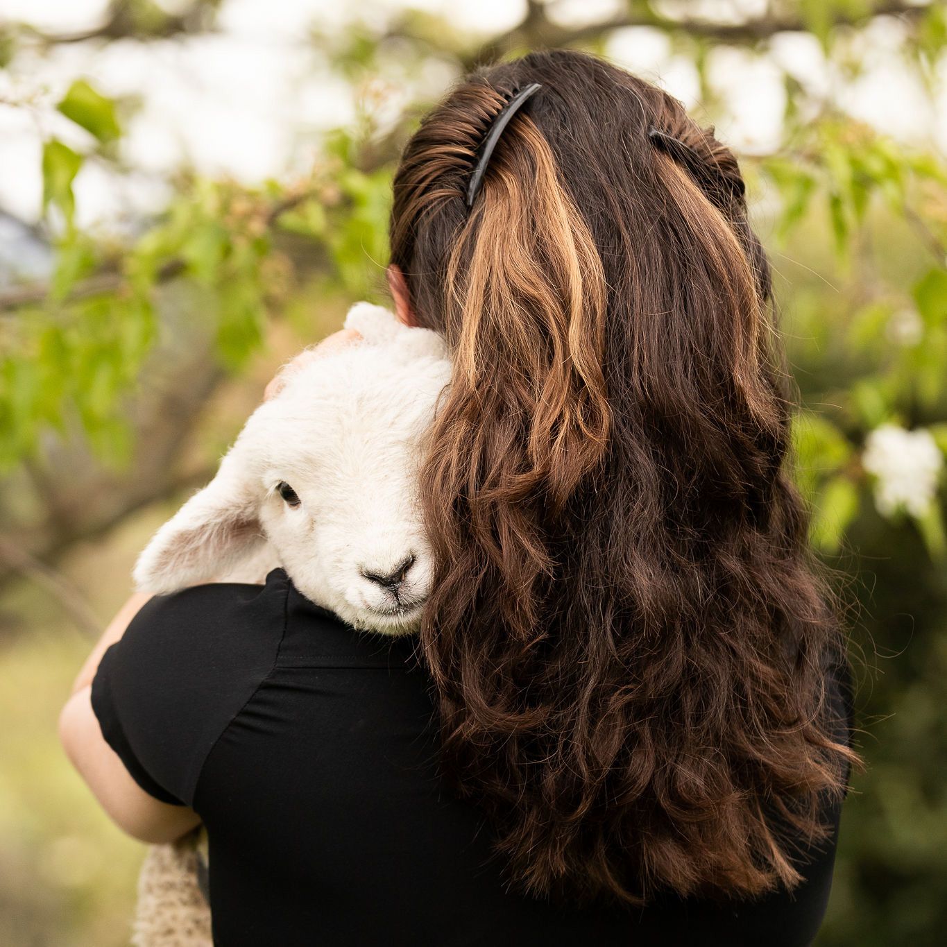 Lifestyle vet care