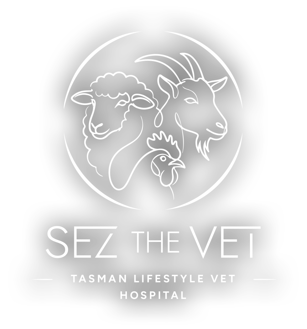 Sez the Vet