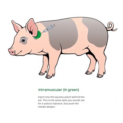 Gleptosil