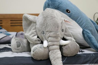 Toys & Plush