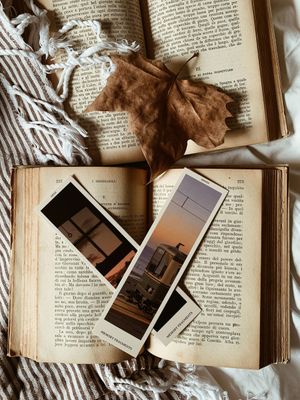 Bookmarks, Magnifiers & Accessories