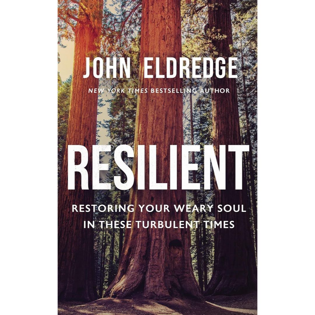 Resilient-9781400208647
