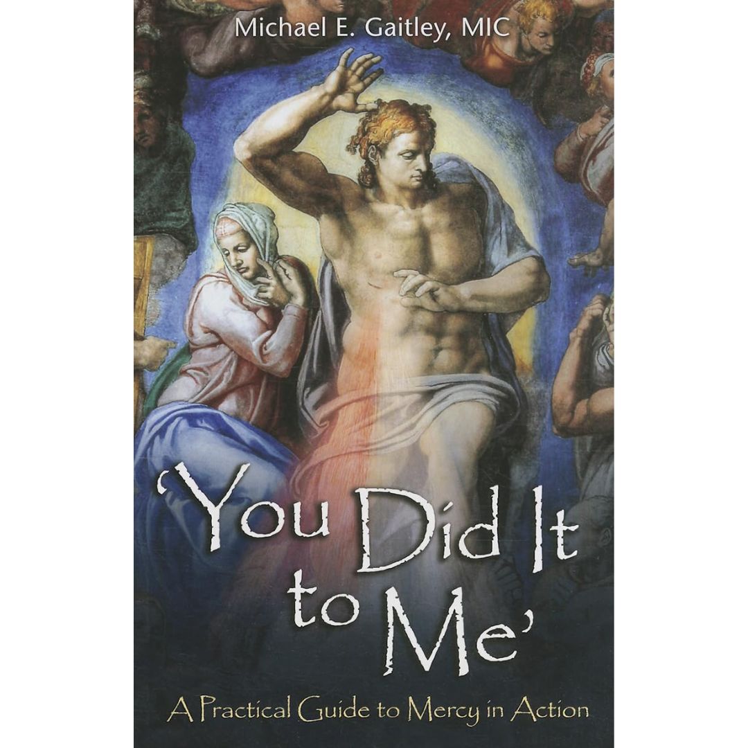 'You Did It to Me' - Michael E. Gaitley - 9781596143043