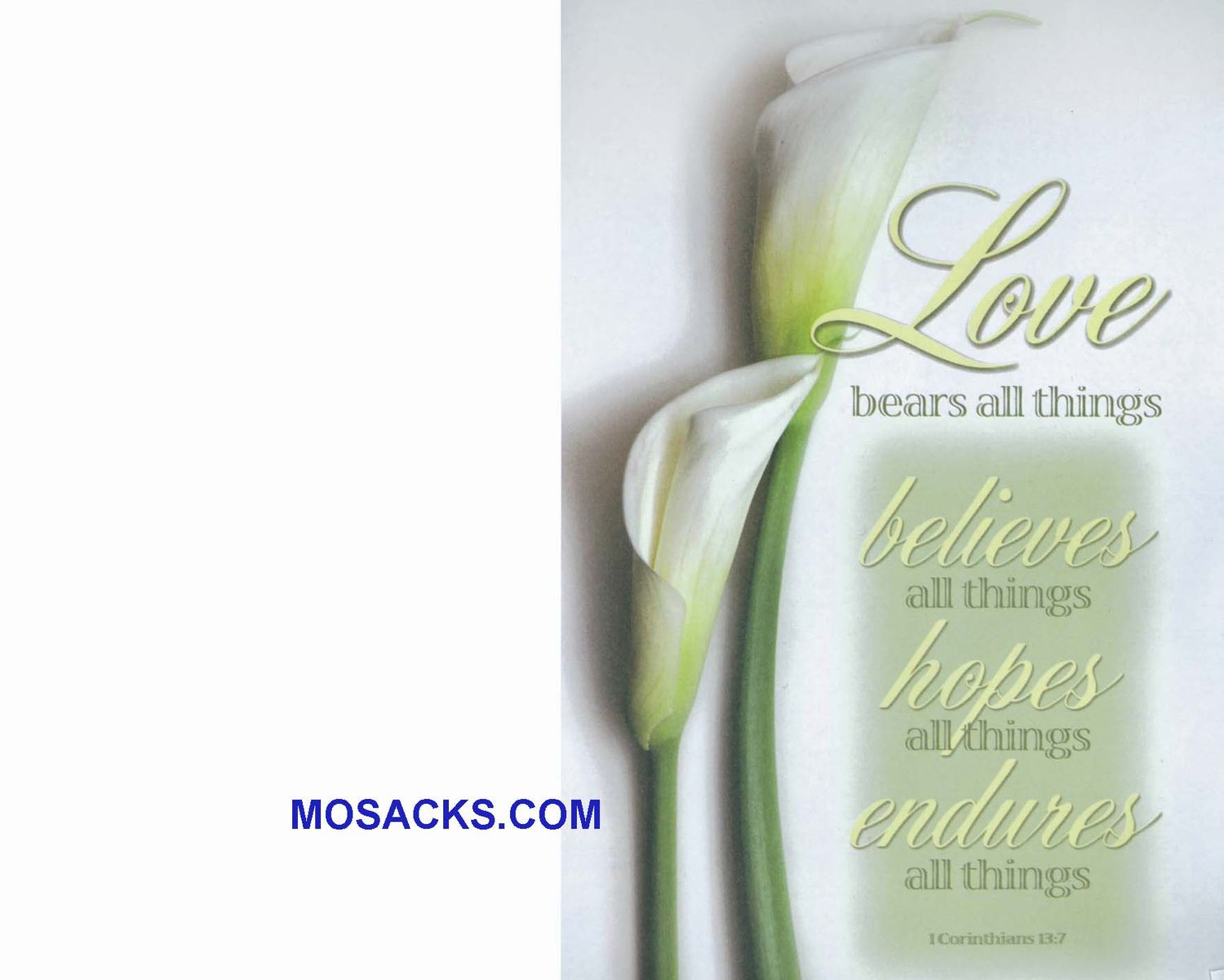 Wedding Bulletin Cover Love Bears All 100 Pack-9462, Wedding Cover