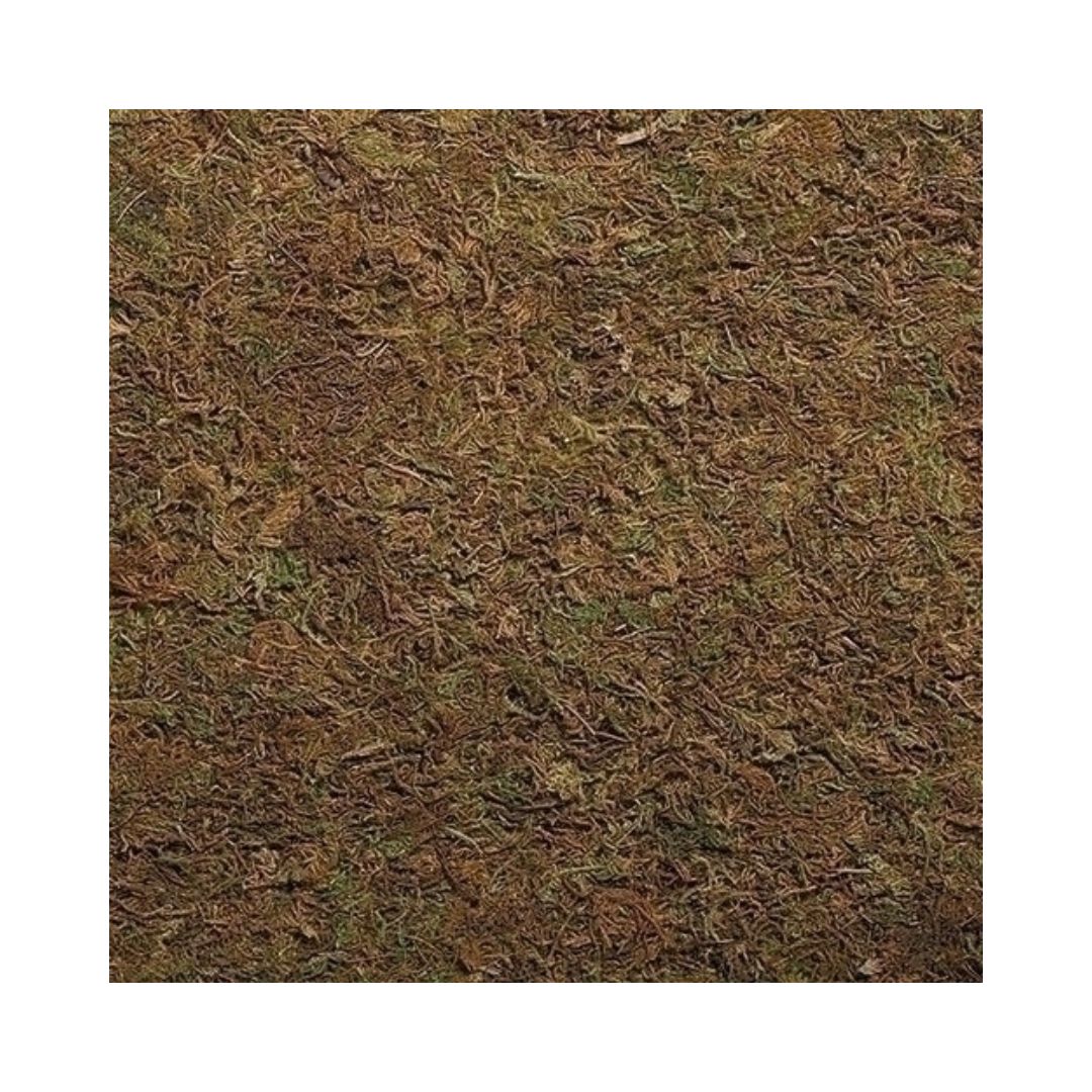 Fontanini Heirloom Nativity Moss Landscape Fontanini 5" Heirloom Nativity Moss Landscape 59546