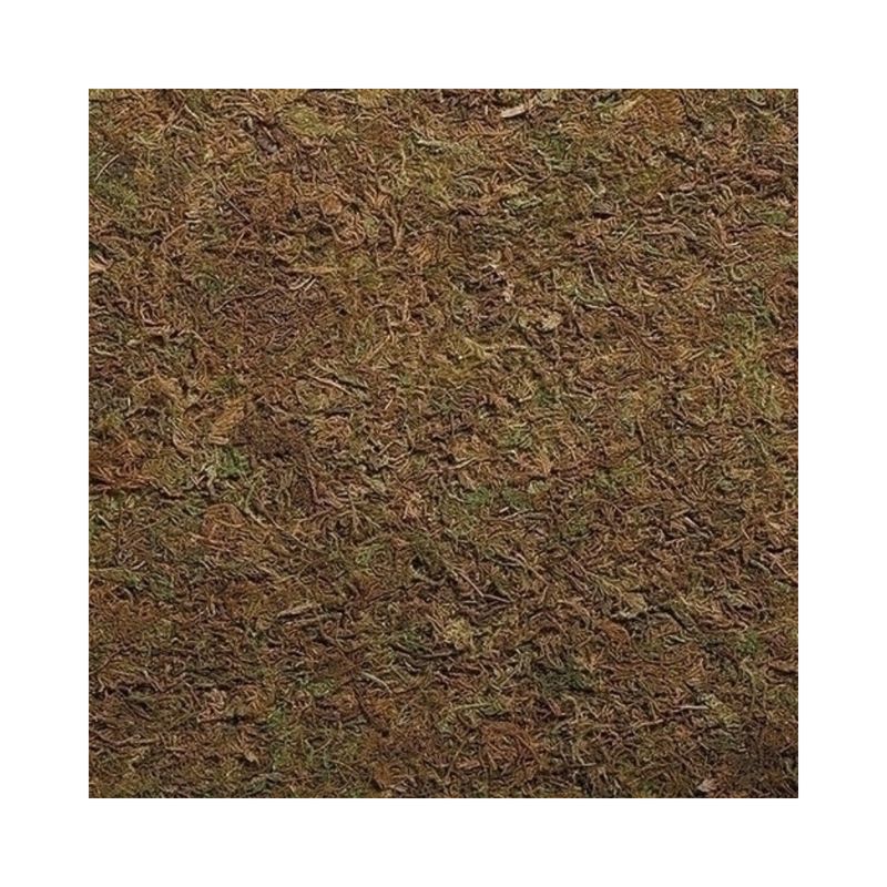 Fontanini 5" Heirloom Nativity Moss Landscape 59546
