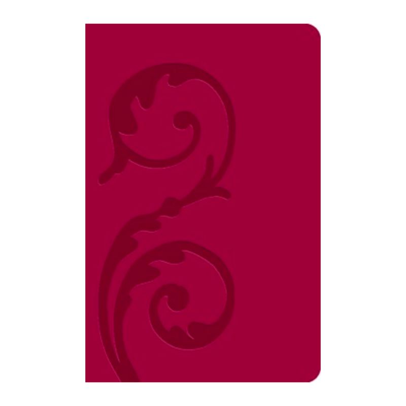 The Message Bible: Personal Size (Raspberry Blossom/LeatherLike) - 9781612914299