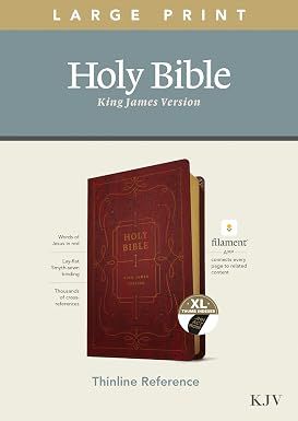 KJV Large Print Thinline Reference Bible/Filament Enabled Edition-Burgundy Ornate Leatherlike Indexed