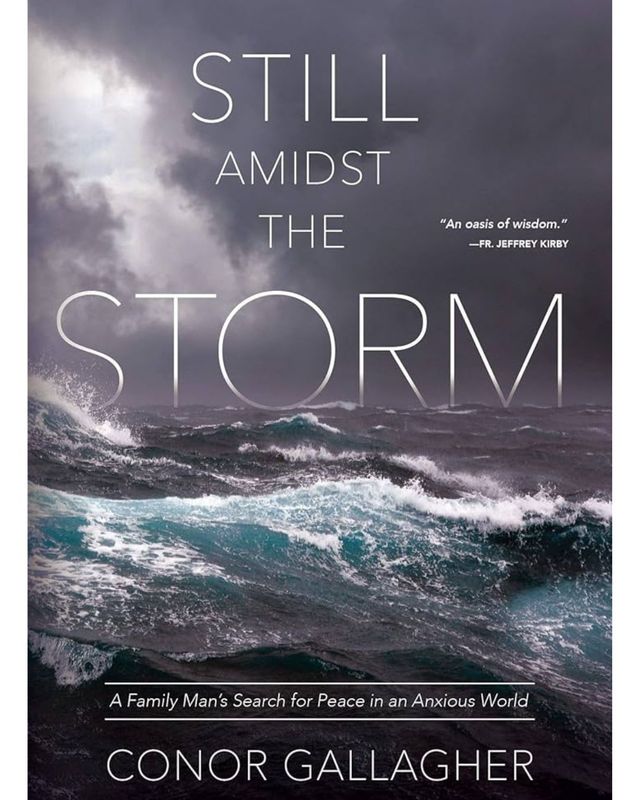 StillAmidsttheStorm9781505112665