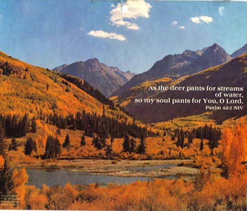 Bulletin Cover As The Deer Longs 100 Pack-845682,  General Bulletin Cover