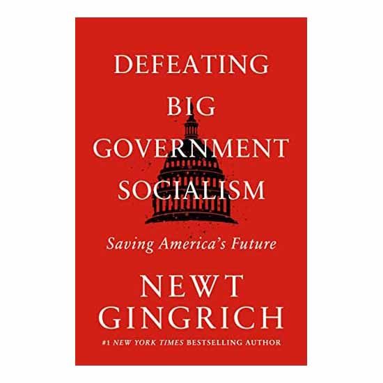Defeating Big Government: Saving America's Future Defeating Big Government: Saving America's Future - 9781546003199