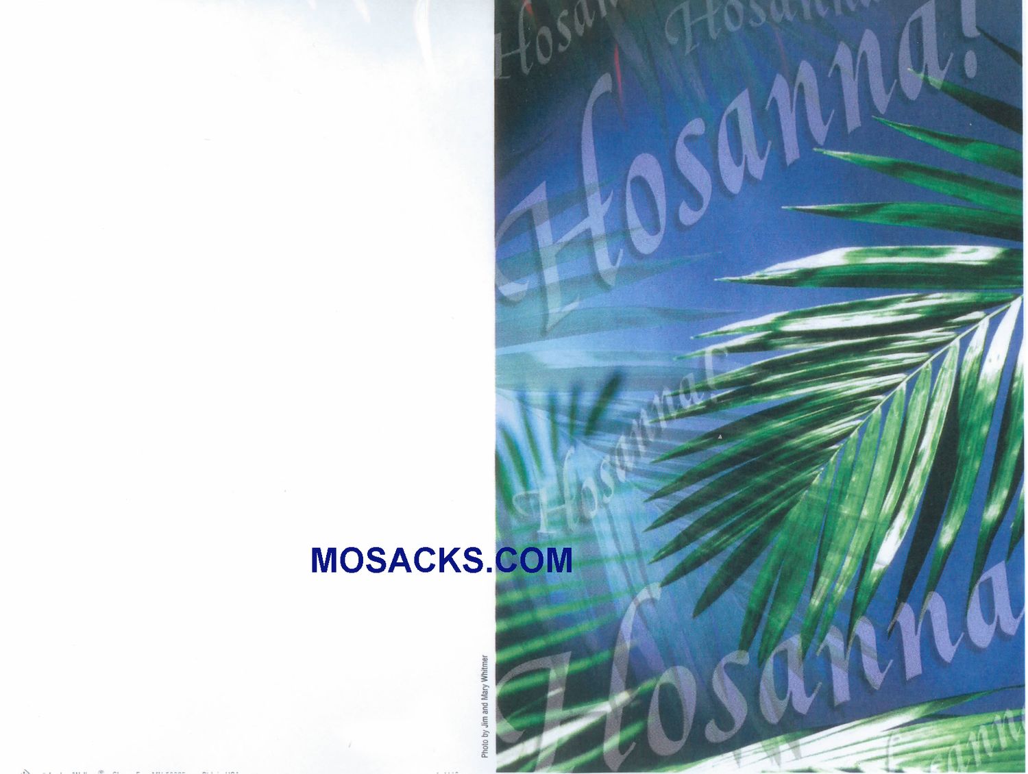 Bulletin Covers Hosanna 100 Pack-A4119, Lent Cover