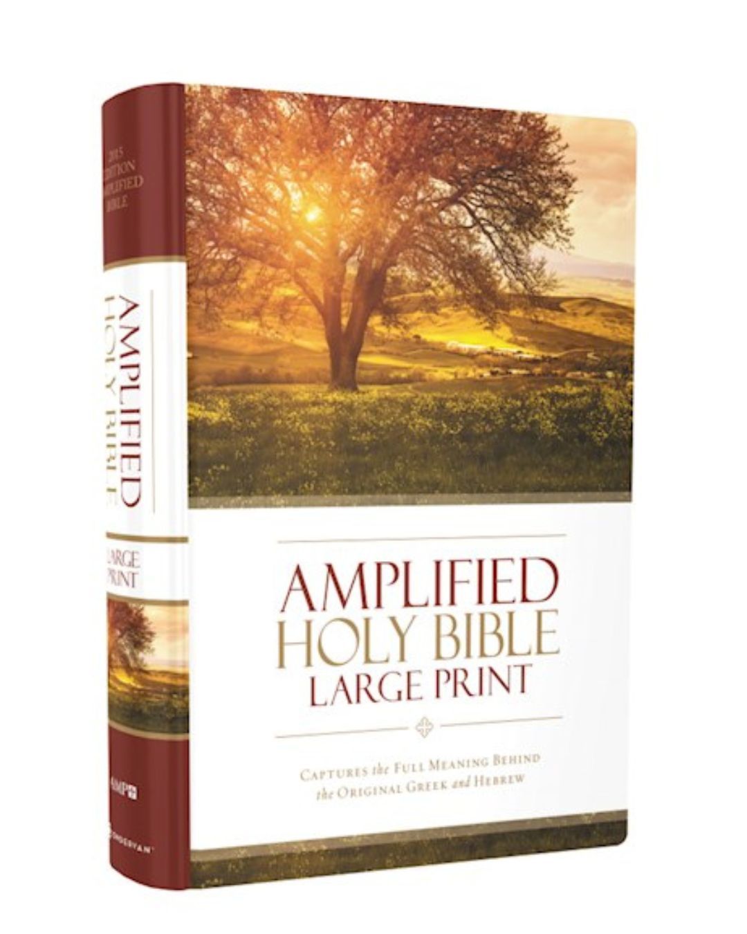 AmplifiedLargeBibleHardcoverZondervan