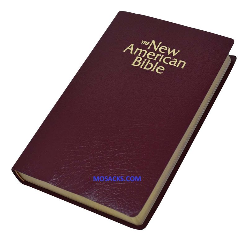 World Catholic Press W2402BG NABRE Bible Burgundy-9780529068125