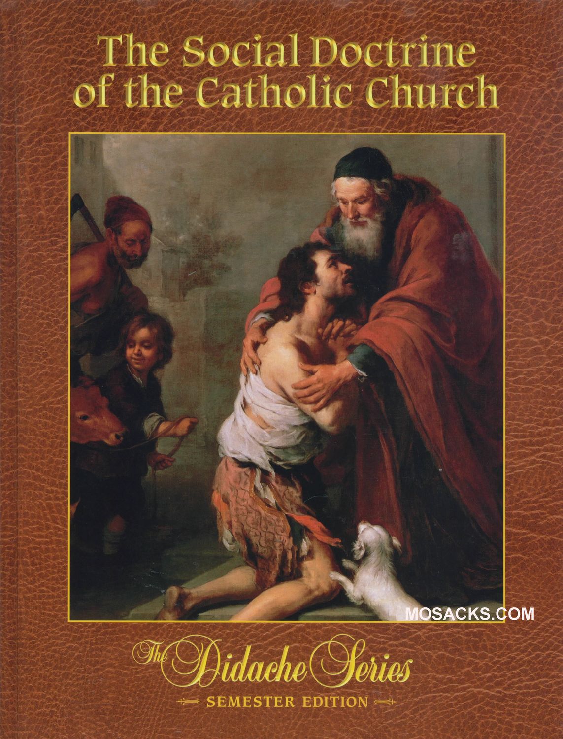 Didache Series The Social Doctrine of the Catholic Church Semester Edition by Mike Aquilina 9781936…