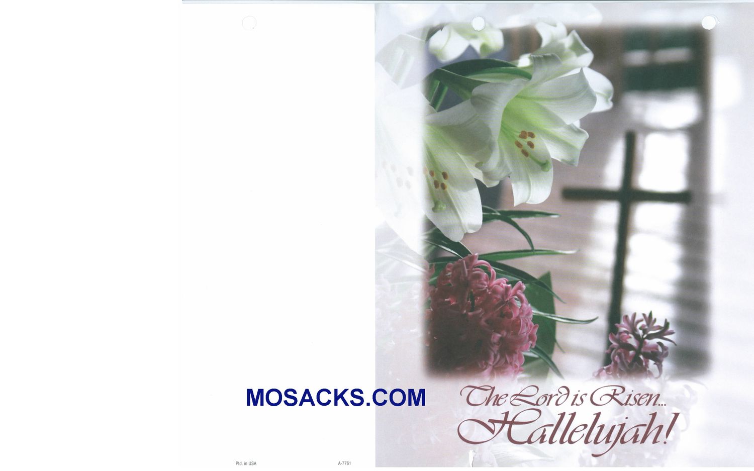 Bulletin Covers The Lord Is Risen 100 Pack-A7761, Easter Cover
