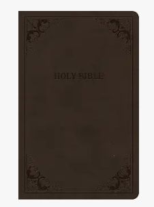 CSB Thinline Bible (Value Edition)-Brown Leathertouch
