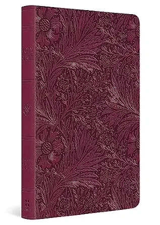 ESV Large Print Value Thinline Bible:-Raspberry, Floral Design Trutone