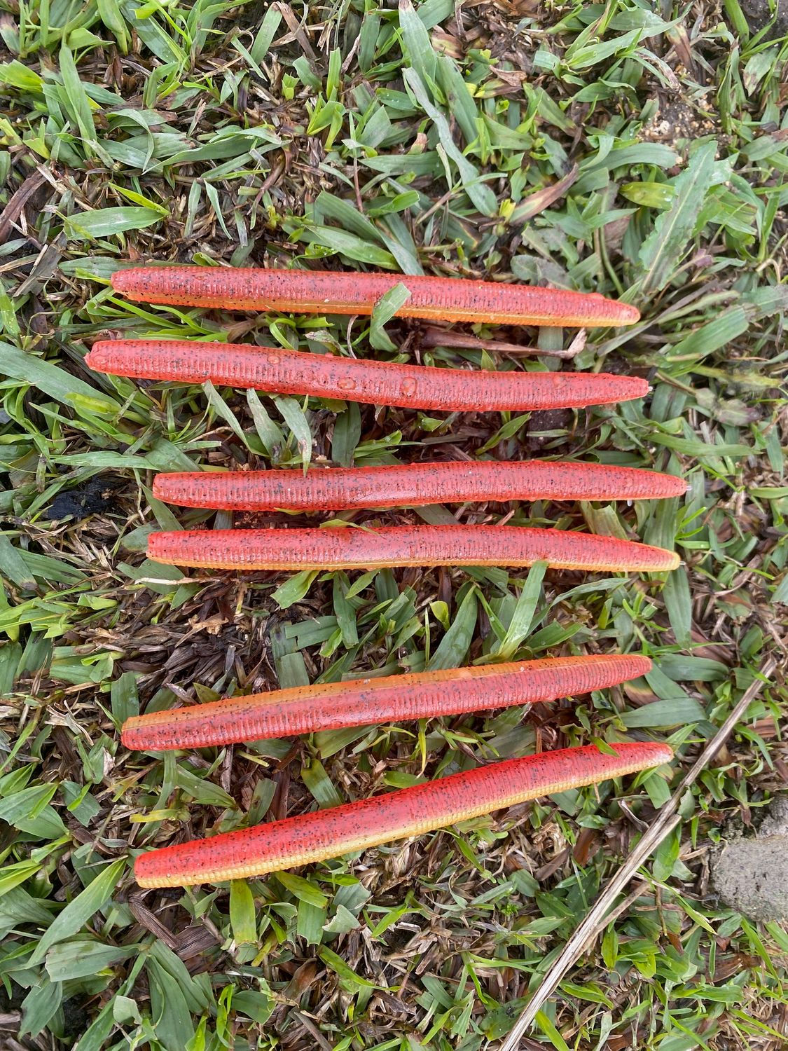 two color Stick Baits two color Stick Baits