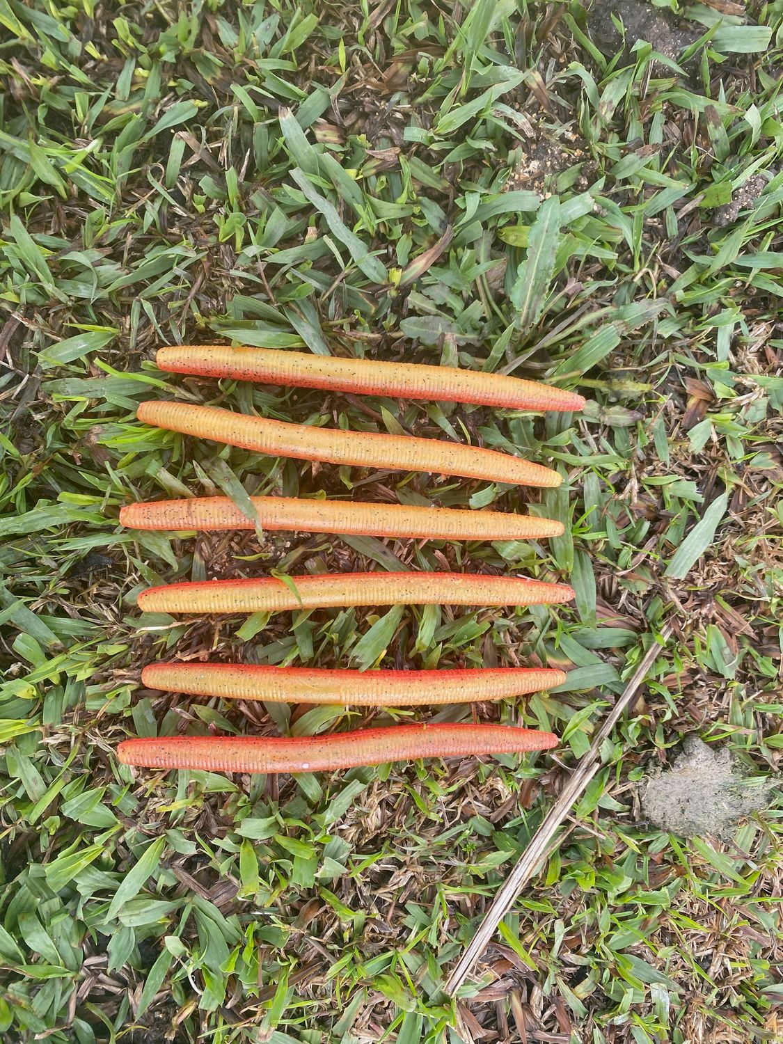 two color Stick Baits two color Stick Baits