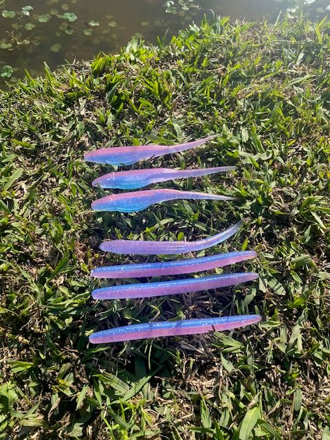two color fluke two color fluke